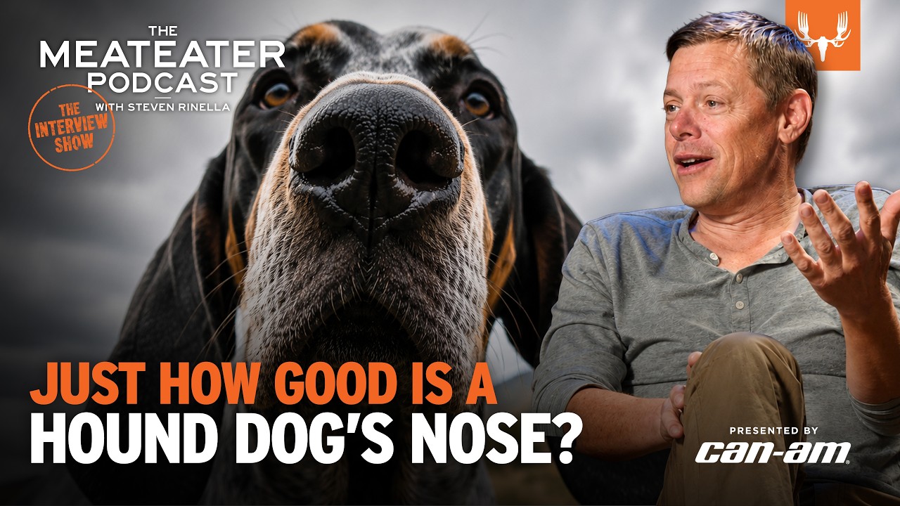 Scent, Smell, and Science: Olfaction in Humans, Deer, and Dogs | The MeatEater Podcast Ep. 921