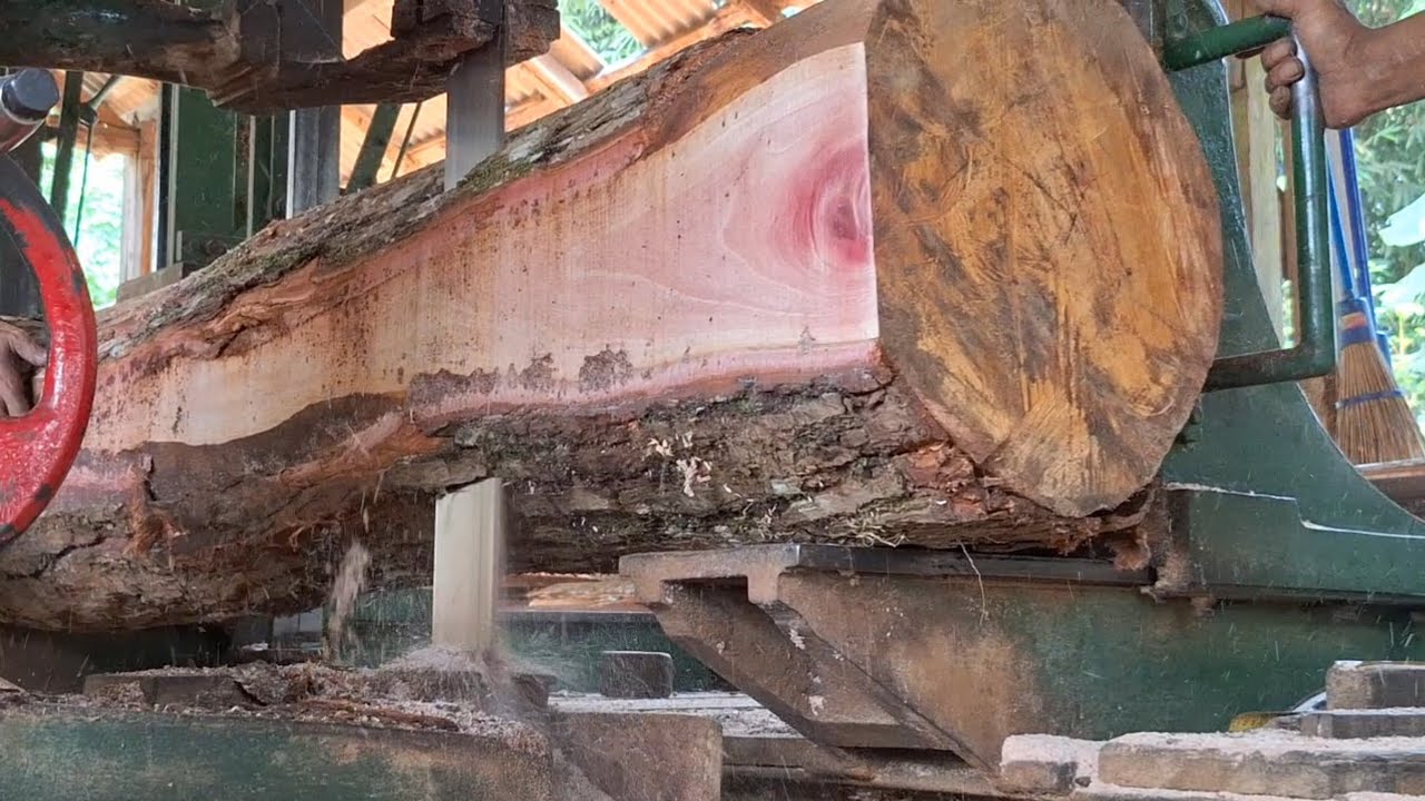 Best sawmill,any wood can beturned into money