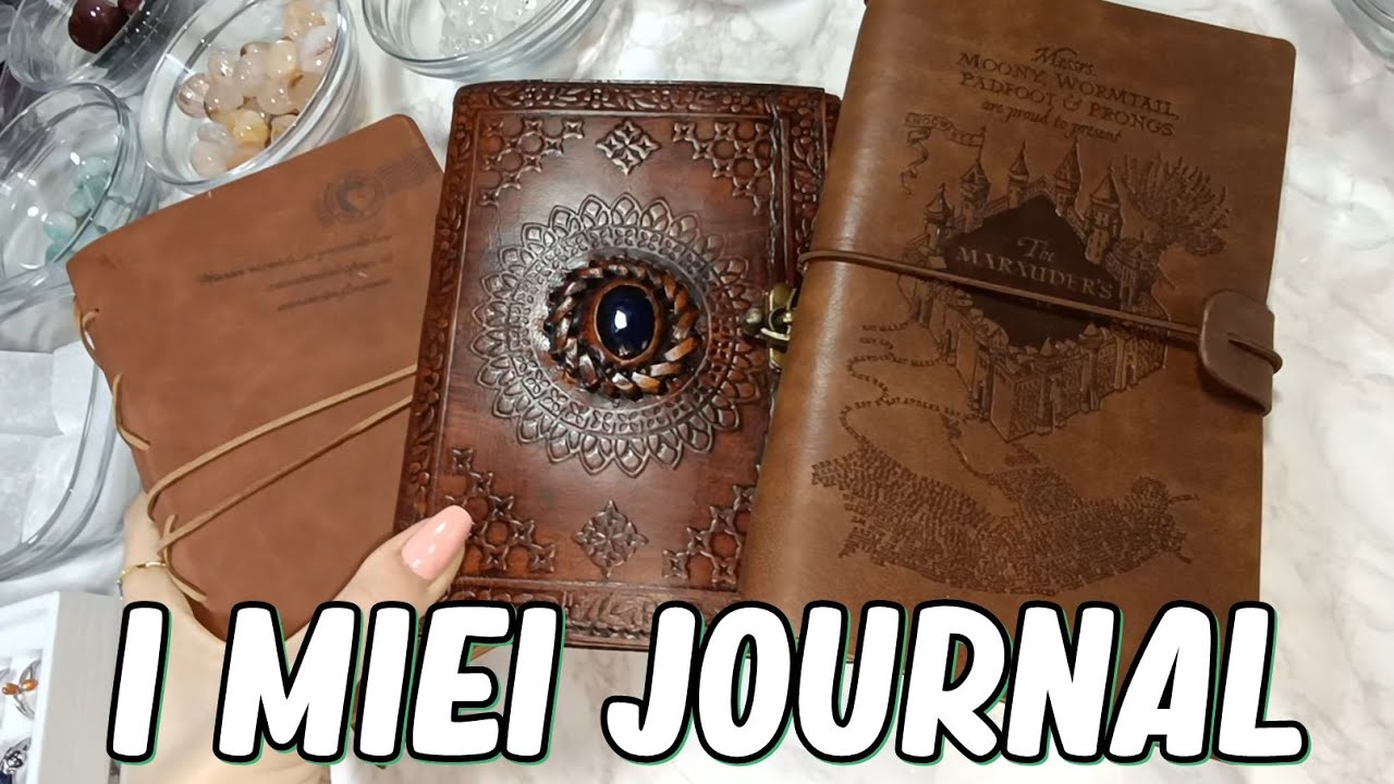 I MIEI JOURNAL - DIARI