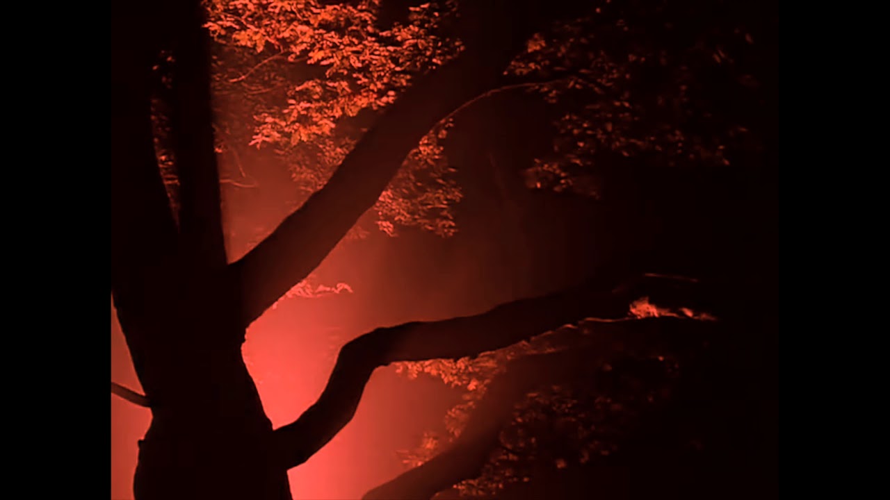 Douze - Red Led