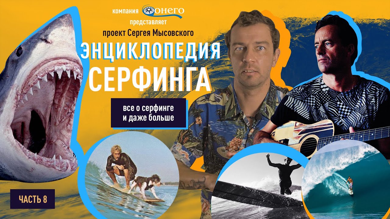 СЕРФИНГ ЭНЦИКЛОПЕДИЯ 8: ВОЛНЫ С АКУЛАМИ В ЮАР, ЖИВОТНЫЕ-СЕРФЕРЫ, СТАЙЛАК, TOM CURREN (2020)