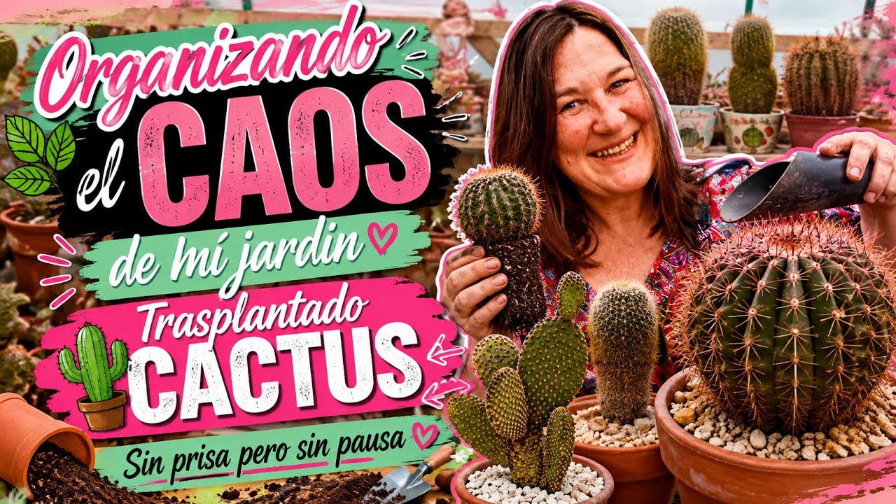 Trasplante de CACTUS A&Ntilde;EJOS