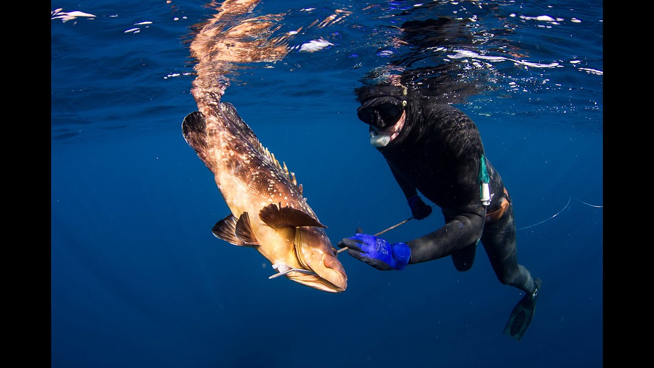 Spearfishing the Aegean