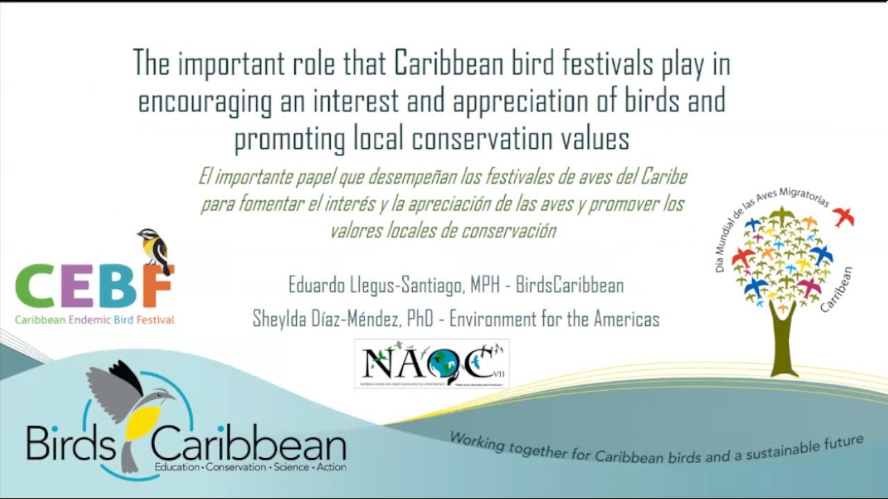 The Important Role that Caribbean Bird Festivals Play