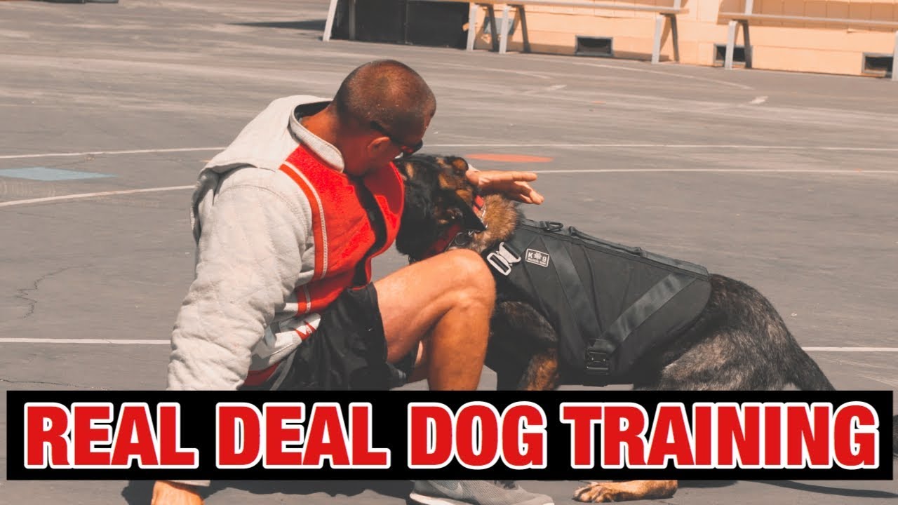 REAL DEAL DOG TRAINING!
