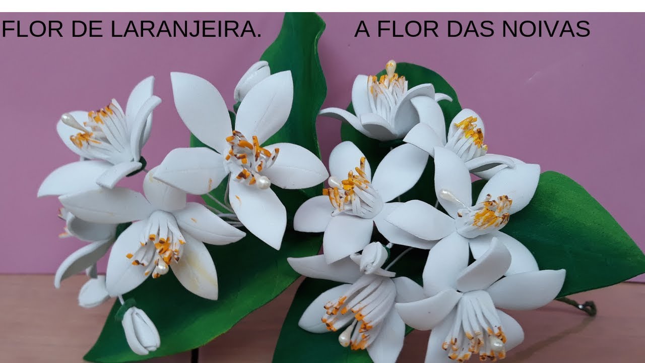 FLOR DE LARANJEIRA. A FLOR DAS NOIVAS.
