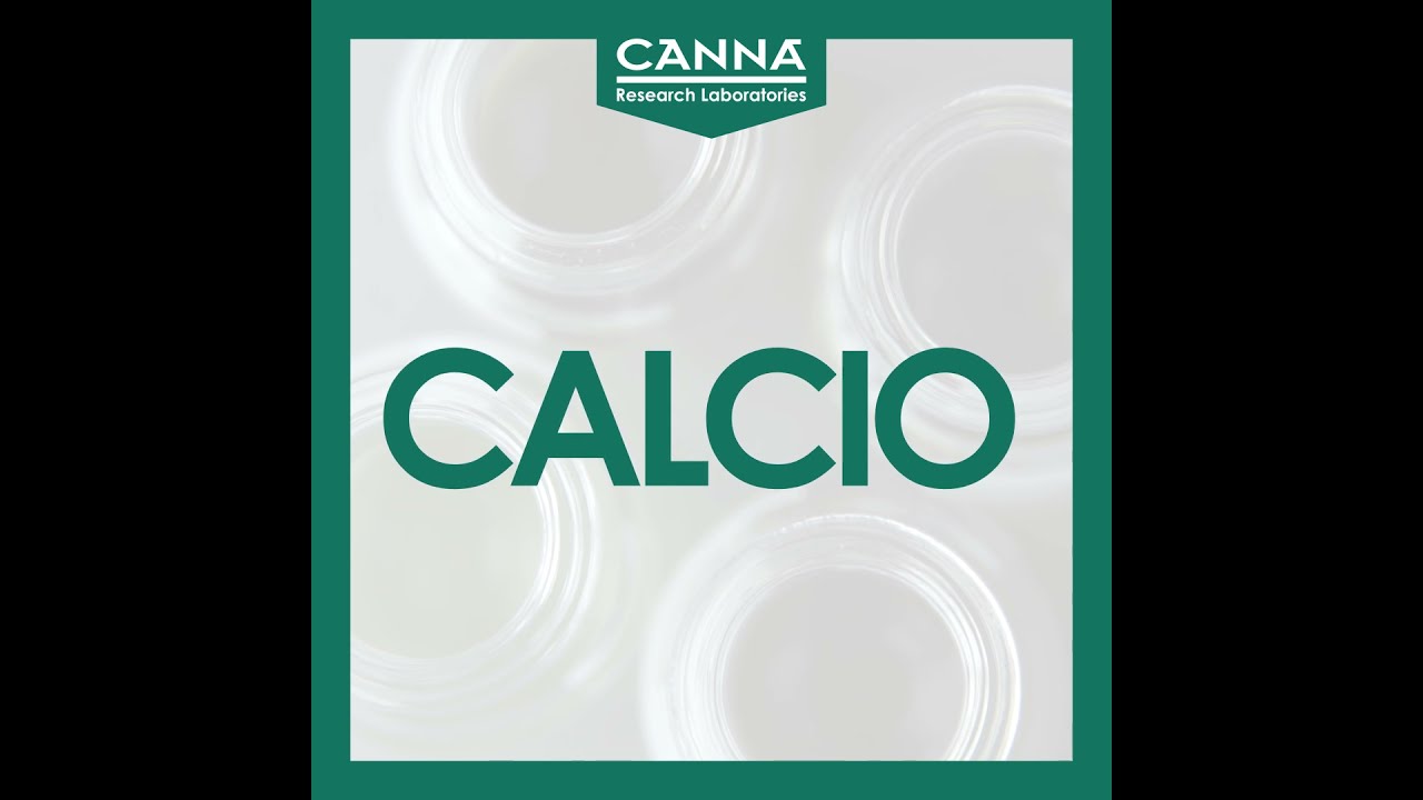 CALCIO - Carencia Mononutrientes - Guía Deficiencia