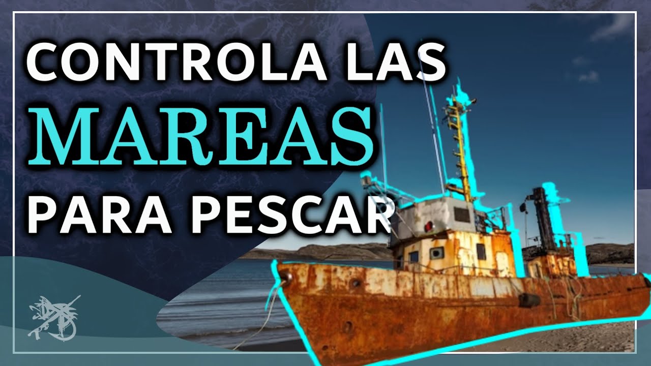 🌊 QUÉ es la TABLA DE MAREAS y CÓMO tiene que ESTAR la MAREA para PESCAR MÁS ❓