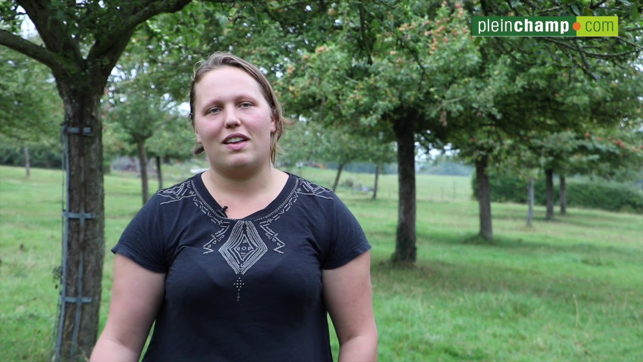Le pré-verger normand, entre tradition et modernité