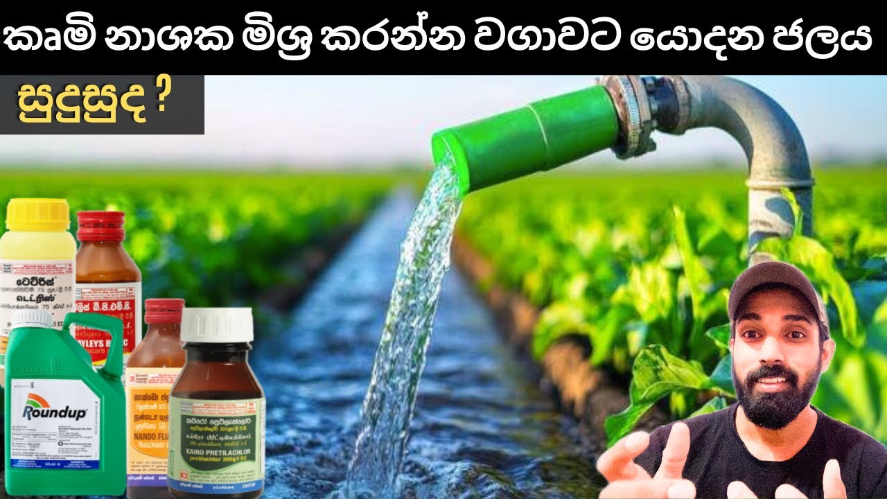 කිවුල් වතුරෙන් කෘෂි රසායන මිශ්‍ර කල විට ඒවායේ ගුණාත්මය අඩු වන ආකාරය.