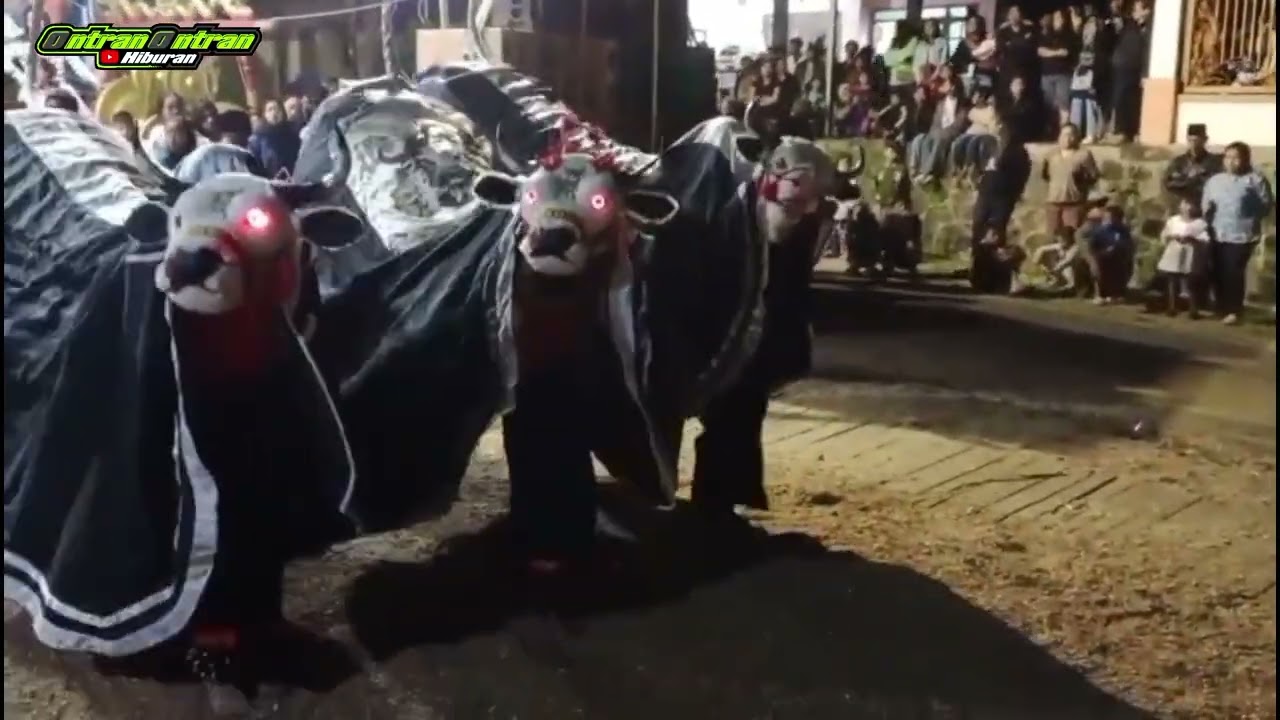 Kreasi seni Bantengan lembu lampe'an.. Gayeng ,matanya menyala live baran sonosari #youtuber #viral