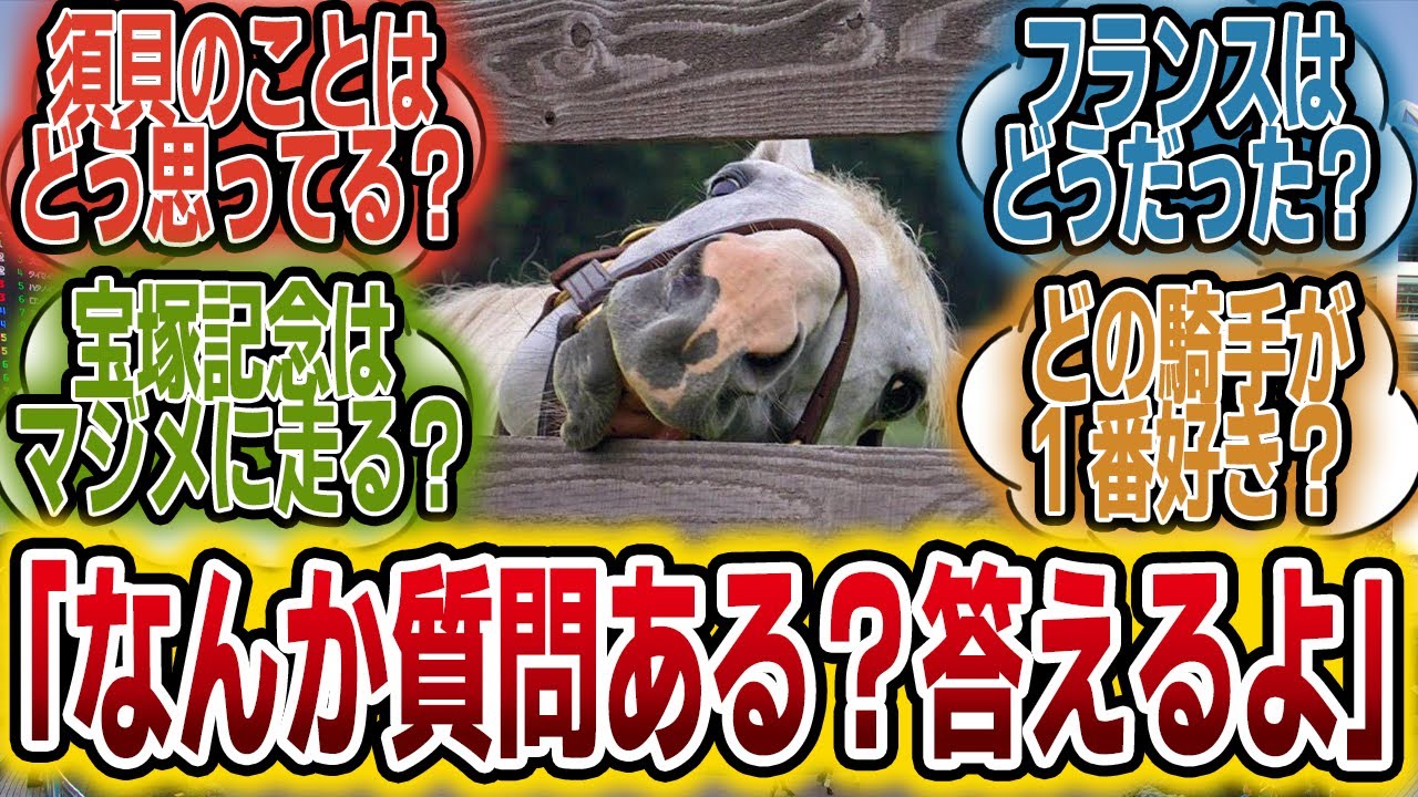 「ゴールドシップだけど質問ある？」に対する2015年当時のみんなの反応【競馬の反応集】
