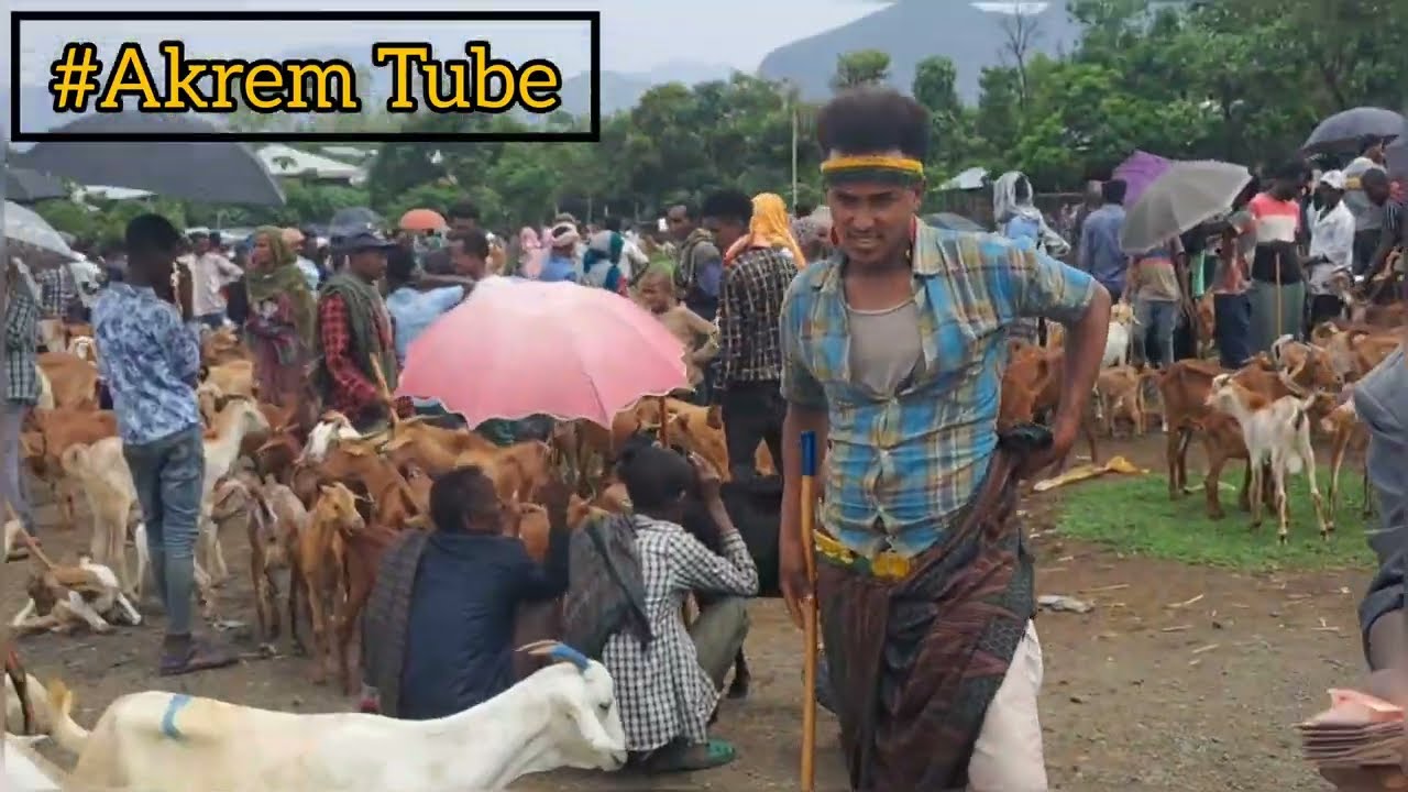 #ዉቢቷ ጊራና ገበያ (ጥንቅሽ እየበላሁ ለእሸቱ አልሳሳ አያበቅለው የለ መርሳ እና ጊራና)በልልኝ እማ 🌾🌾🌽🌽🌽