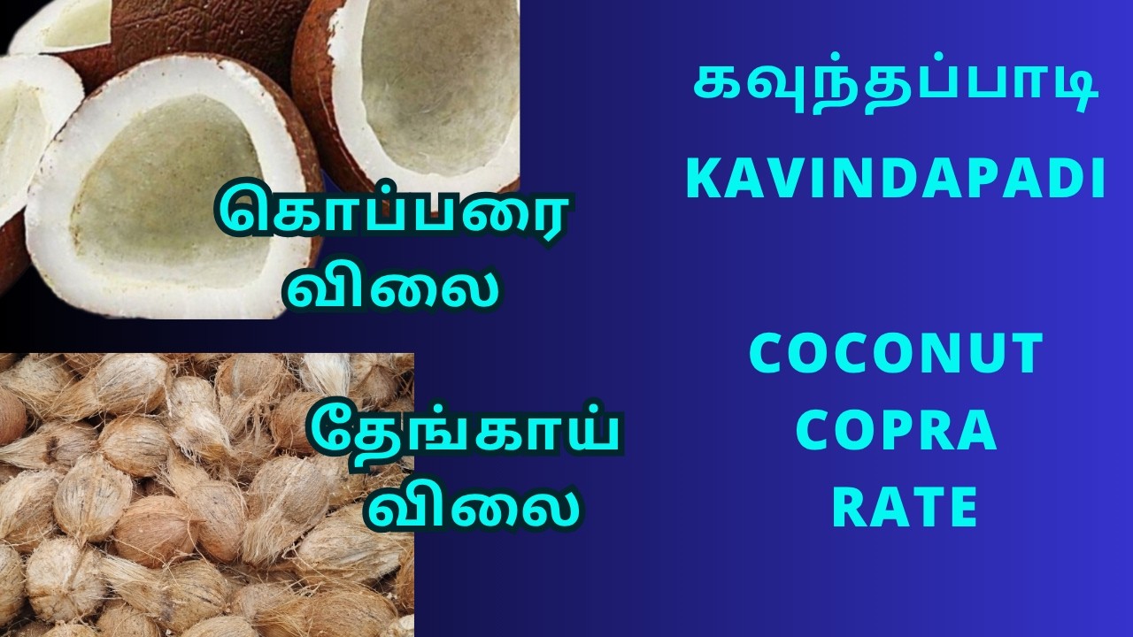 இன்றைய தேங்காய் மார்க்கெட் நிலவரம் | Latest Price For Coconut And Copra At Kavandhapadi | 20-03-2026