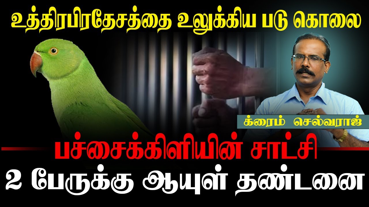 உத்திரப்பிரதேசத்தை உலுக்கிய படுகொலை சாட்சி சொன்ன பச்சைக்கிளி. CRIME SELVARAJ | CRIME | UTTARPRADESH