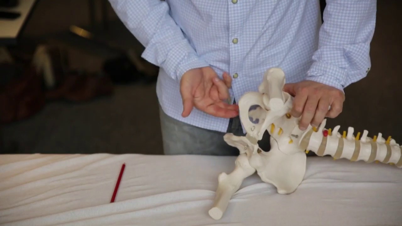 Osteopathie: M. obturatorius internus - Jesse de Groodt D.O.