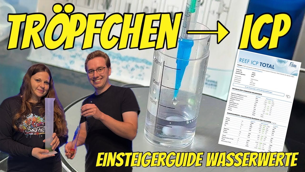 Tröpfchentests bis ICP Analyse🧪: WASSERWERTE MESSEN im Meerwasser Aquarium für Anfänger!