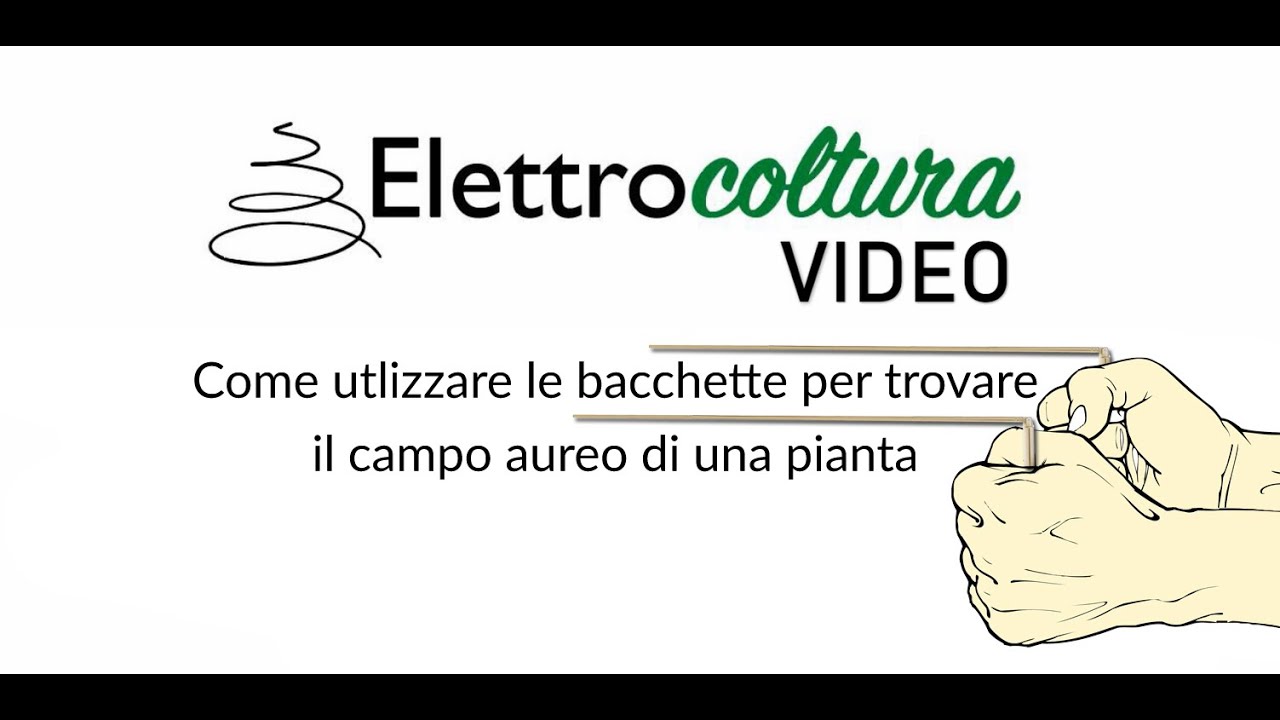 Come utilizzare le #bacchette per trovare il campo aureo di una pianta in# elettrocoltura