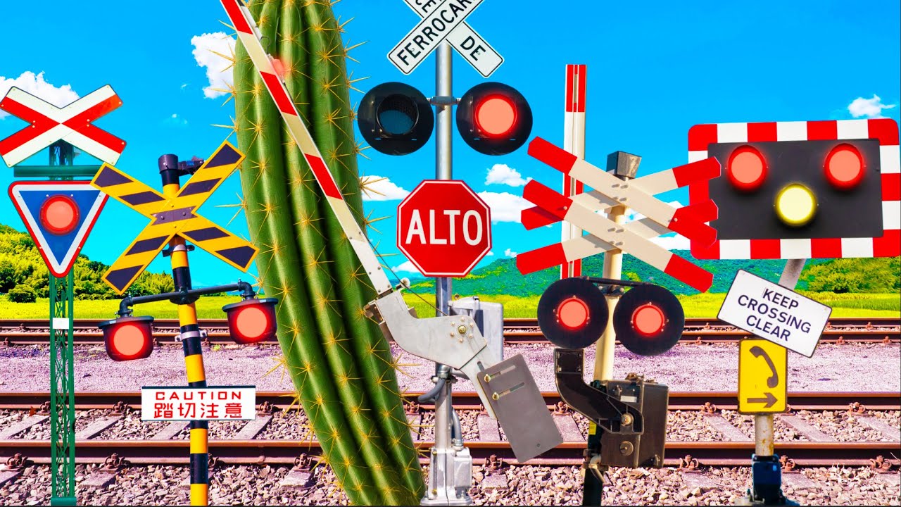 Railroad Crossings That Want to Remove the Giant Cactus