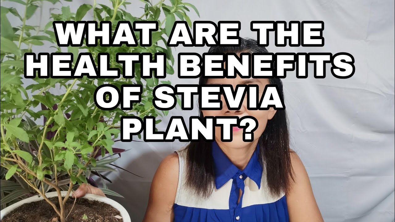 WHAT ARE THE HEALTH BENEFITS OF STEVIA PLANT?