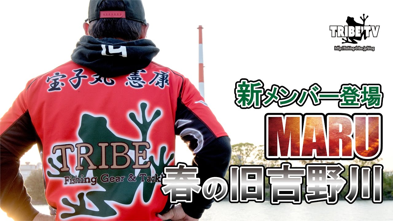 【TRIBE TV】MARU初登場！旧吉野川で春のテトラ攻略！ノーシンカーからヘビダン、クランクまで