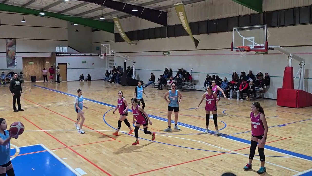 Foul y Cuenta vs JNP 2do Cuarto