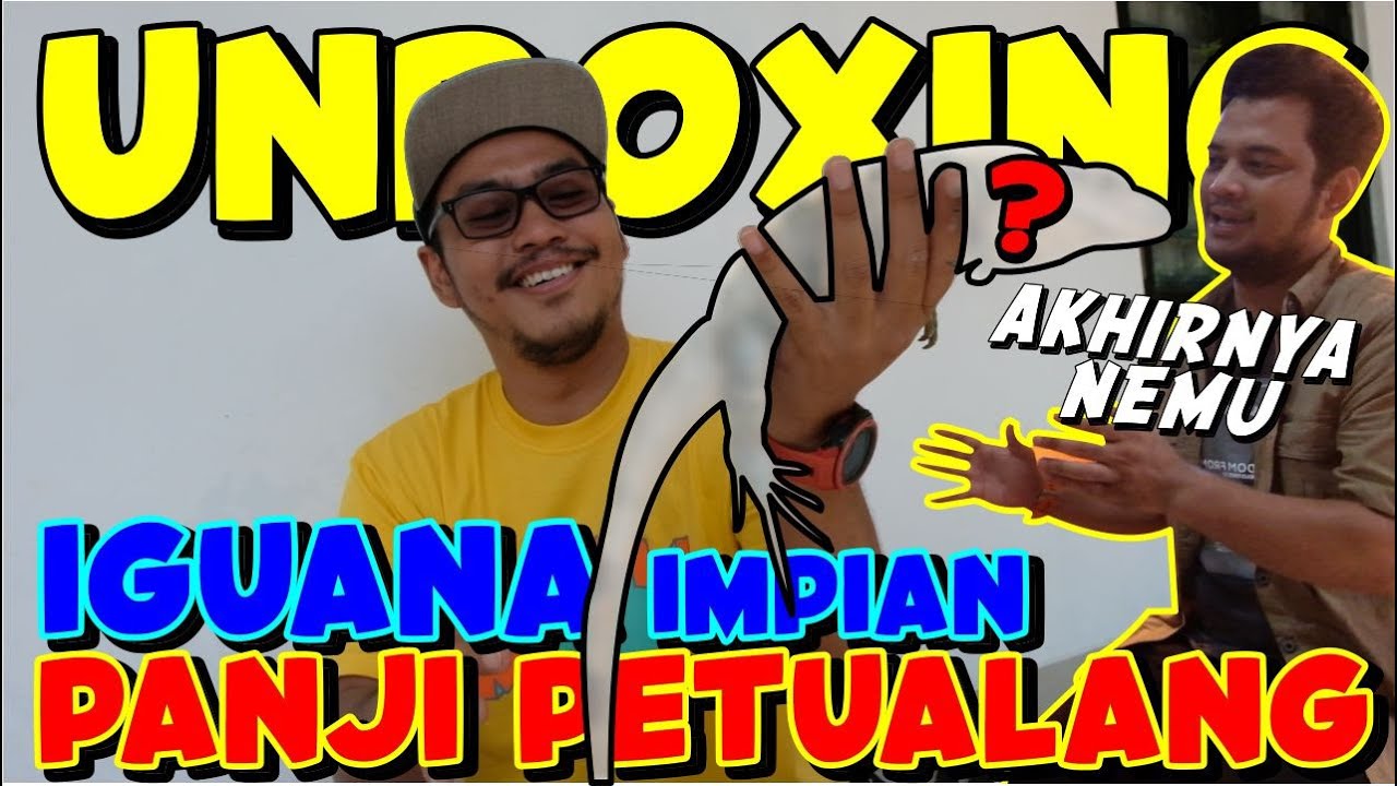UNBOXING REPTIL TERCEPAT DI DUNIA | IMPIAN PANJI PETUALANG
