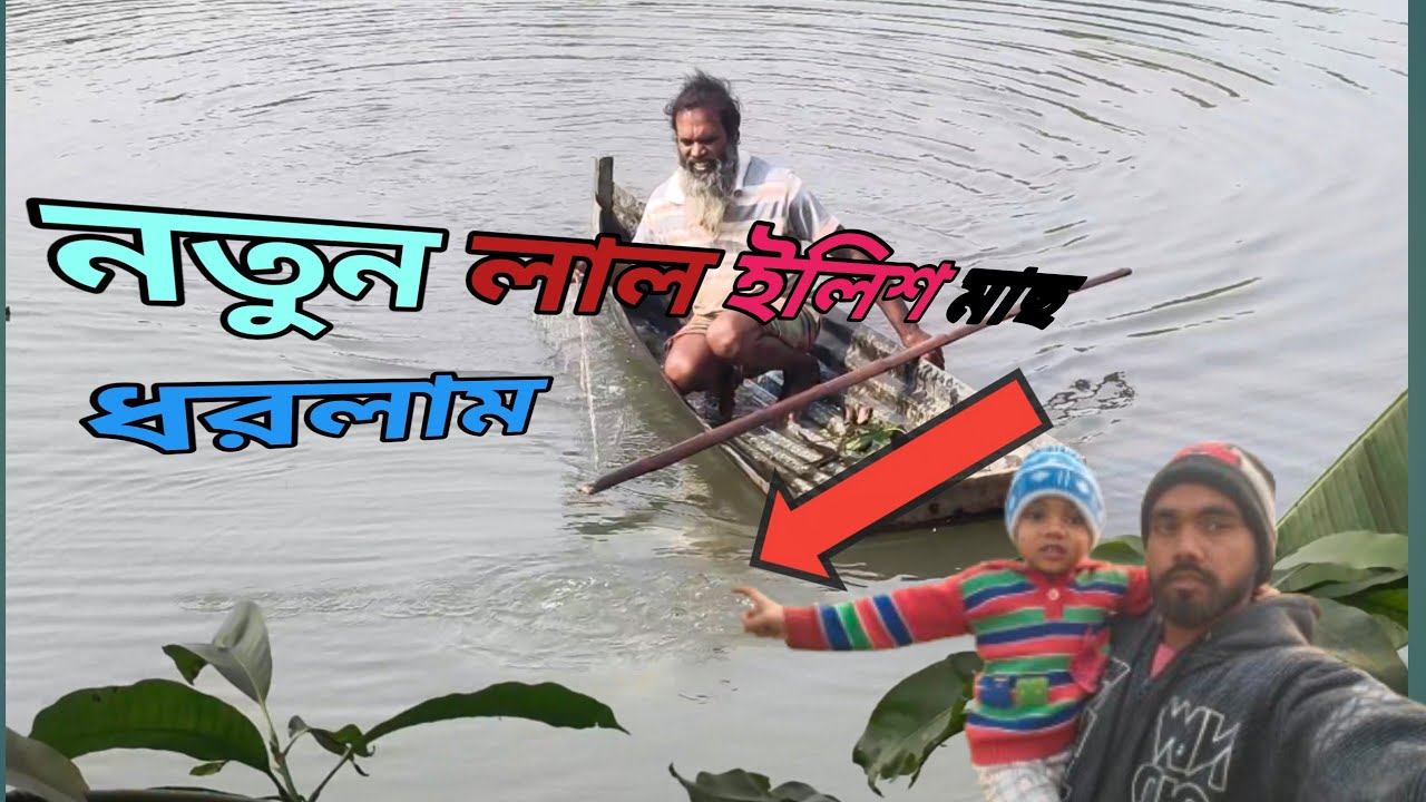 নতুন লাল ইলিশ মাছ ধরলাম//মাছের ভিডিও//Amazon village fishing Lover TV 