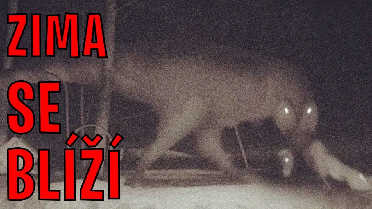 Severní Pól Měl Vlastního 