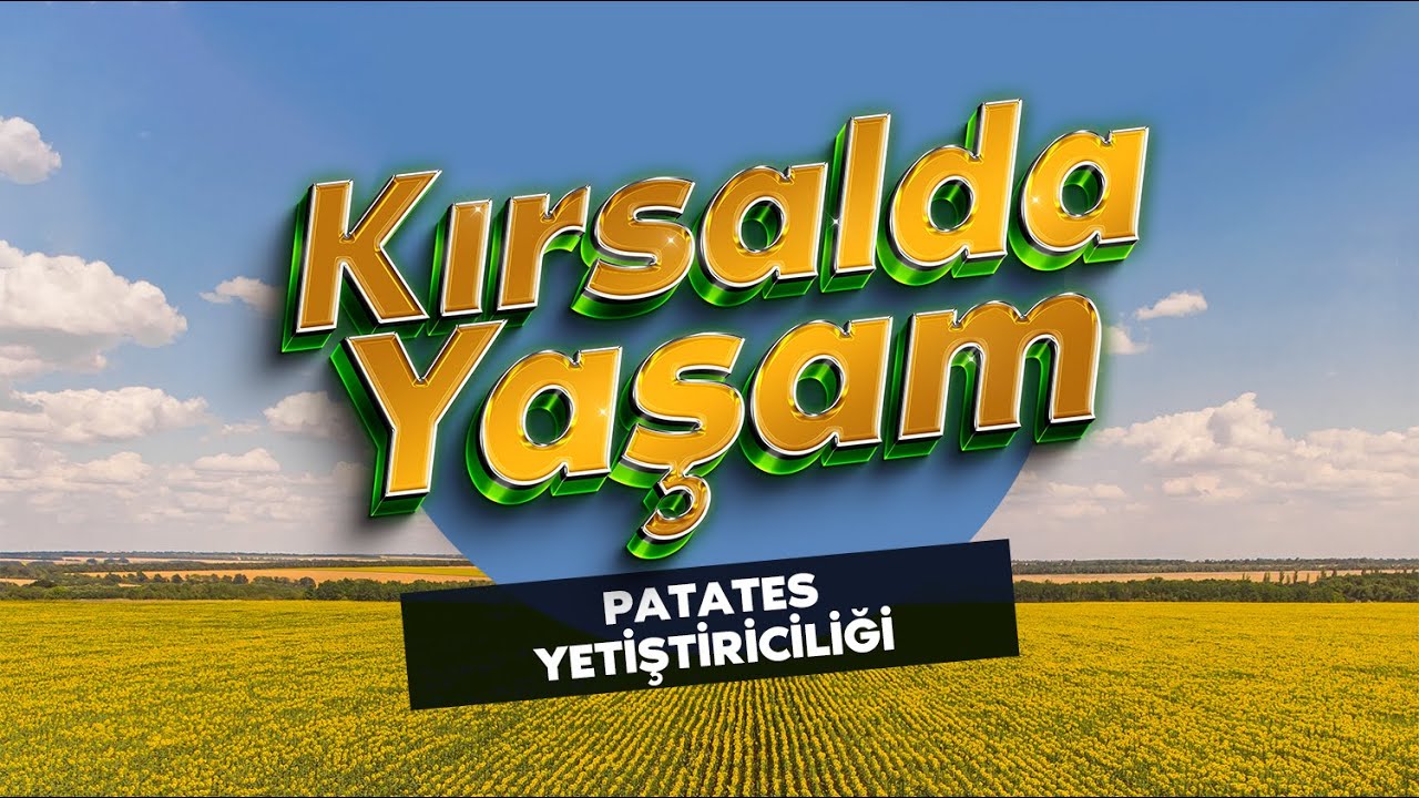 KIRSALDA YAŞAM | Patates Yetiştiriciliği