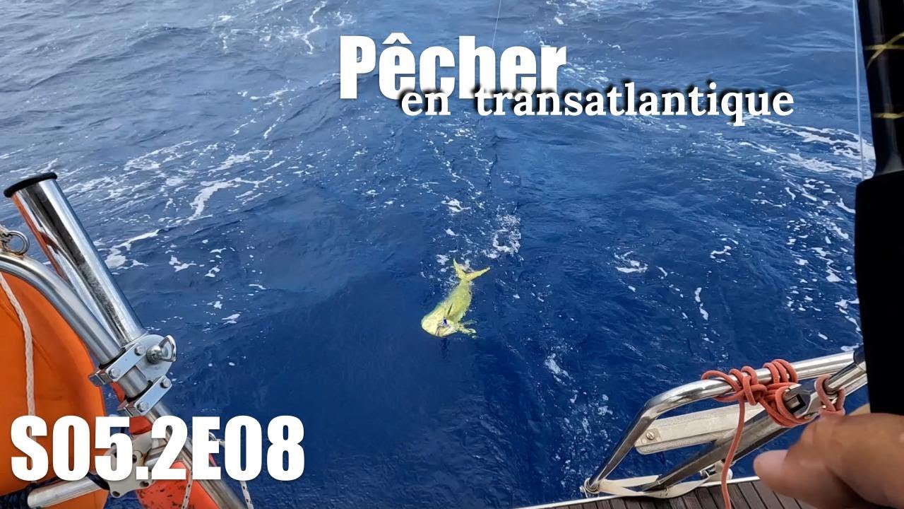La plus belle dorade Coryphène de l'atlantique - Transat en solitaire - S05.2E08 / (Bag-Bihan)