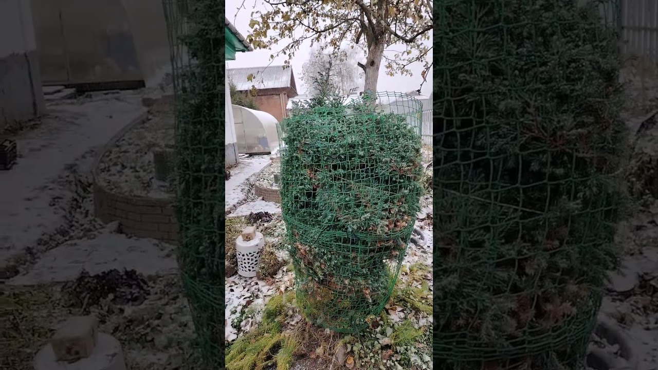 Наконец пришёл конец, хочу домой