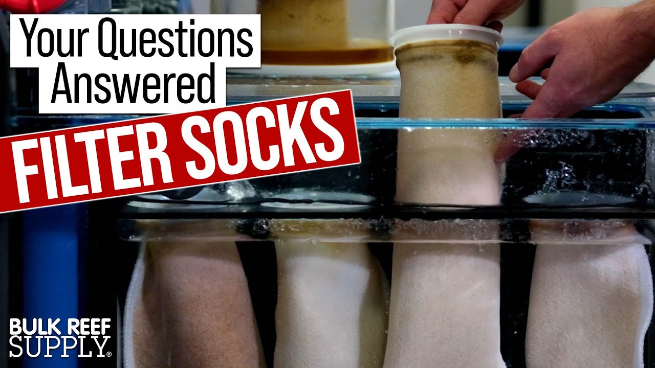 Change Aquarium Filter Socks WHEN? Top 5 Answers to BRS Filter Sock Questions!