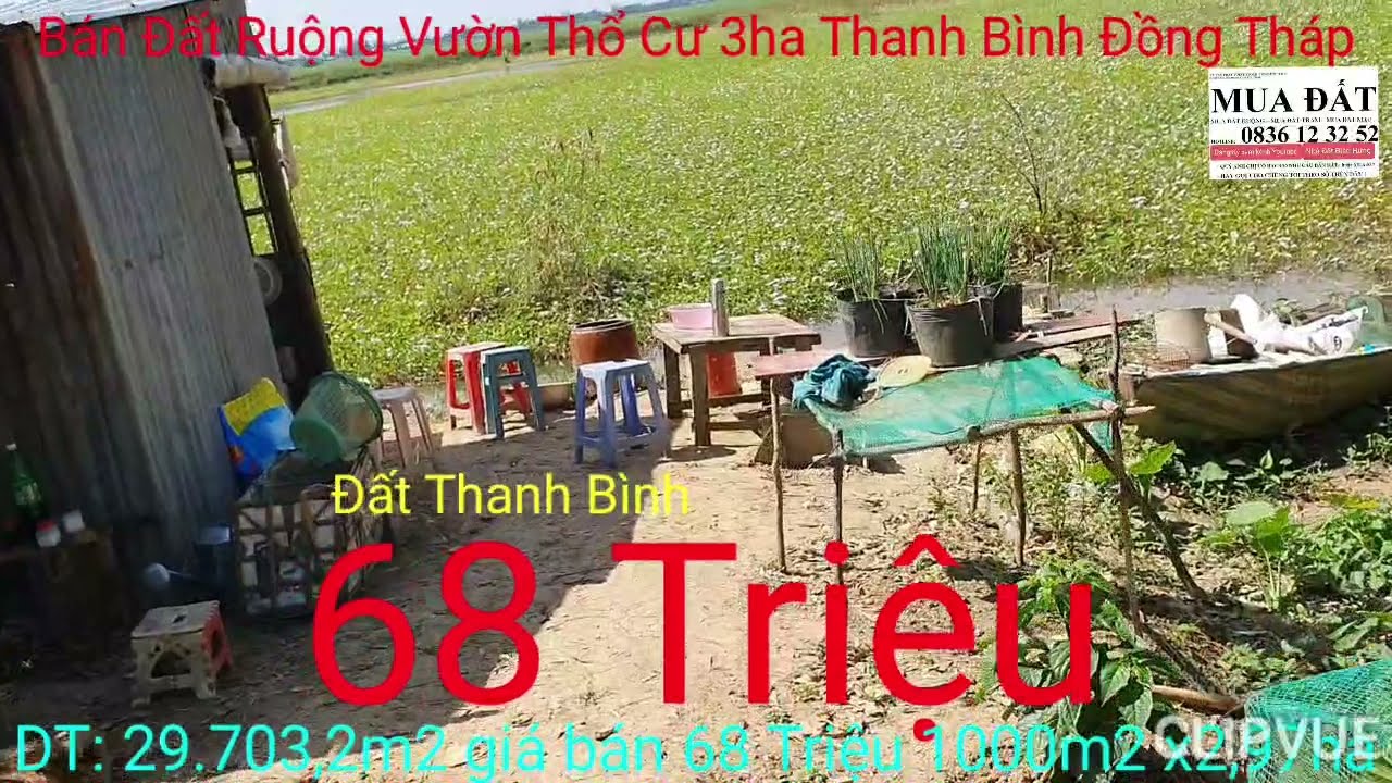 Bán Đất Ruộng Vườn Ao Nuôi Cá 68 Triệu một công tại xã An Phong huyện Thanh Bình tỉnh Đồng Tháp