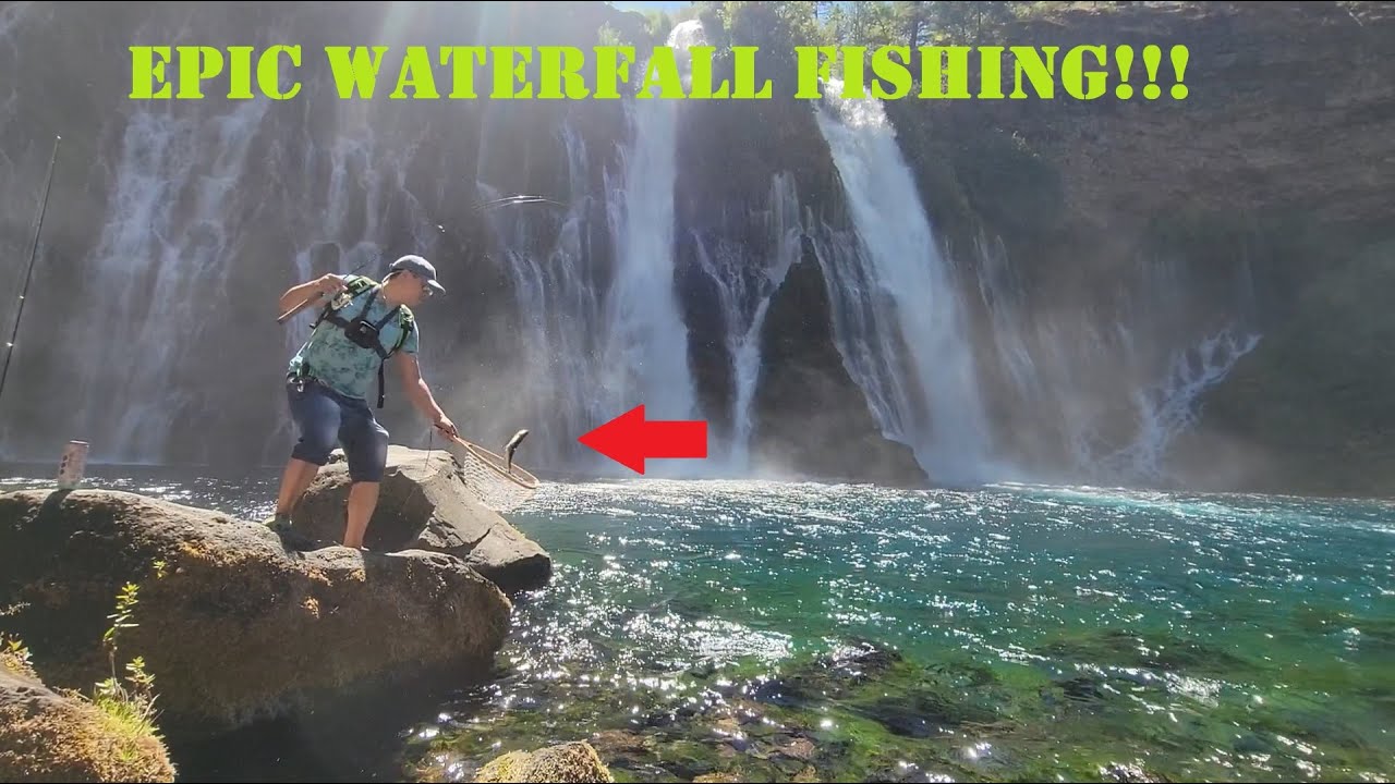 EPIC WATERFALL TROUT FISHING. (every cast is a fish, non stop action!!!)