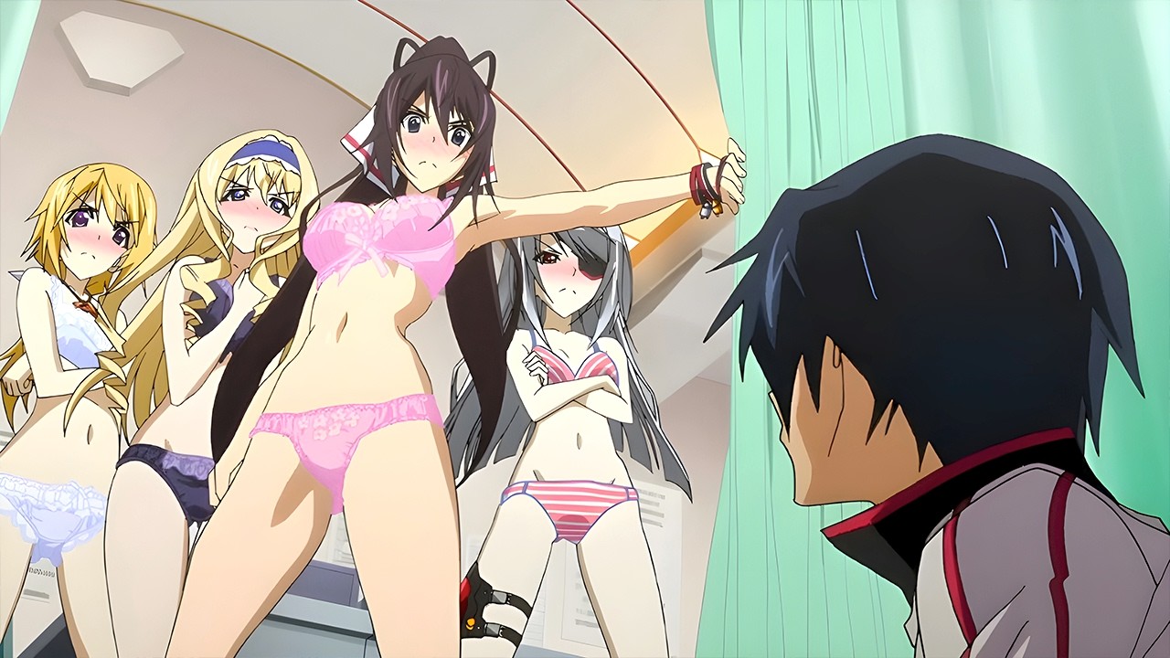 Top 10 Legendary Harem Anime You Forgot Existed