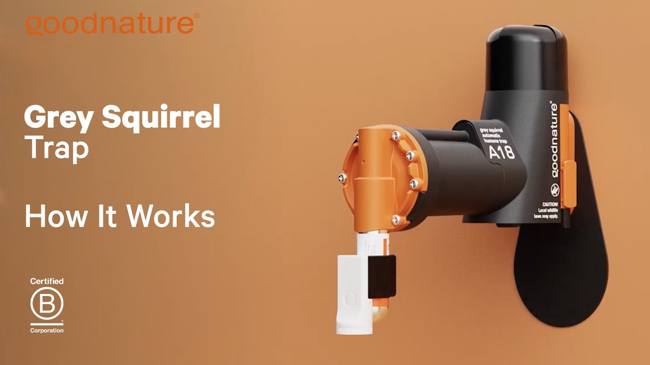 Goodnature A18 Grey Squirrel Trap - How It Works