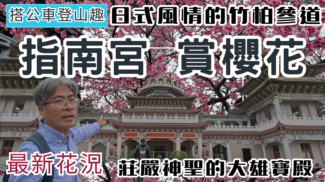 搭捷運登山趣 指南宮 賞櫻花 ep350『日式風情的竹柏參道 | 指南宮櫻花現況分享 | 過年走春推薦 | 莊嚴神聖的大雄寶殿 | 政大美食推薦 』