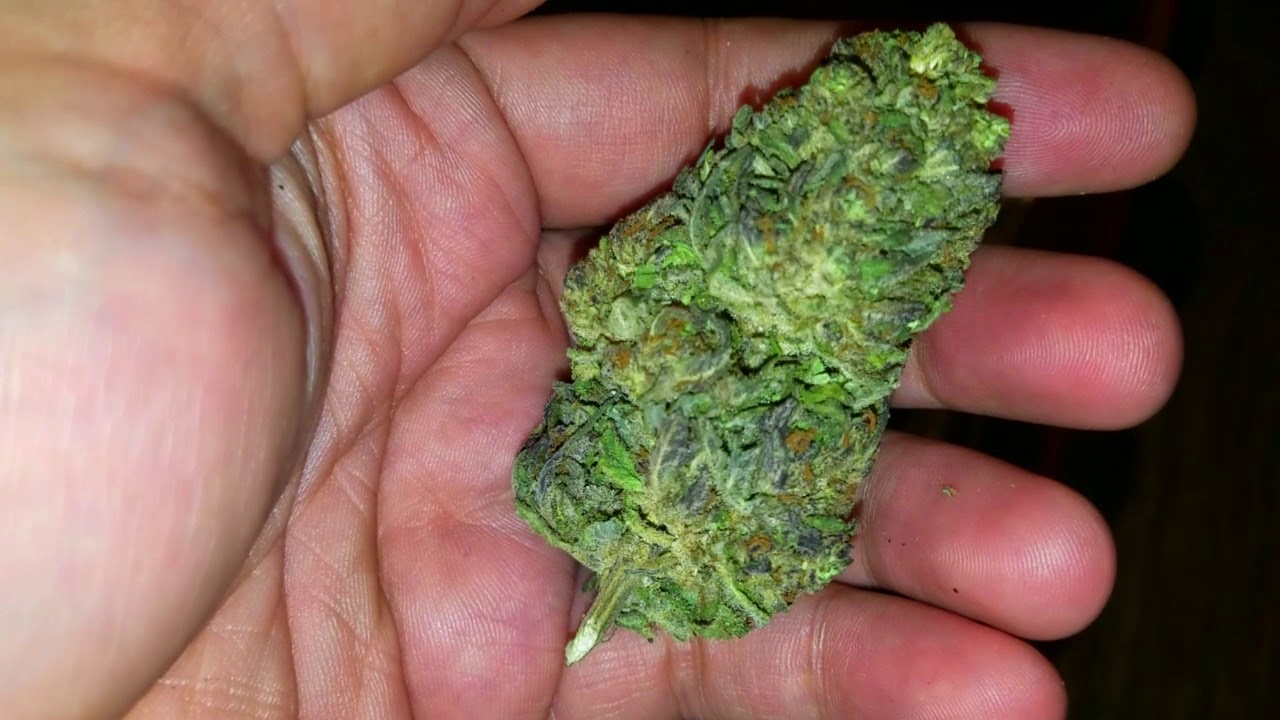 |Fields Of Hemp| Therapy & Elektra CBD Hemp Flower