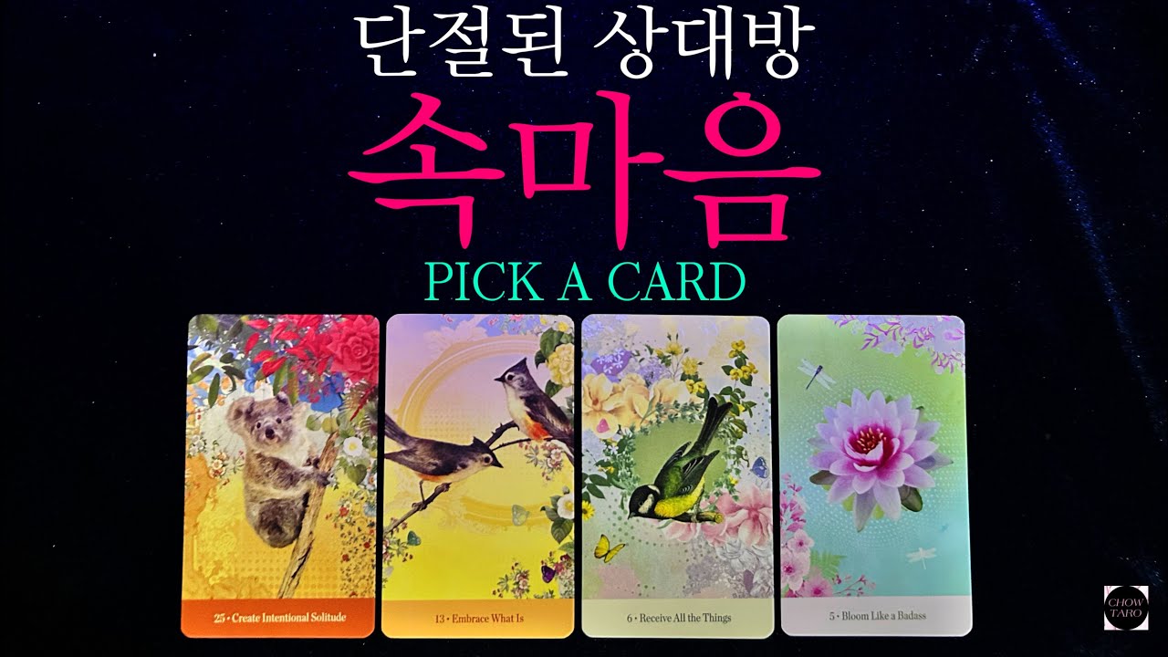 [타로]단절된 그 사람의 모든 심정•하지 못 했던 말•속마음•내가 어떻게 생각할거라 추측하고 있는지 등🔮