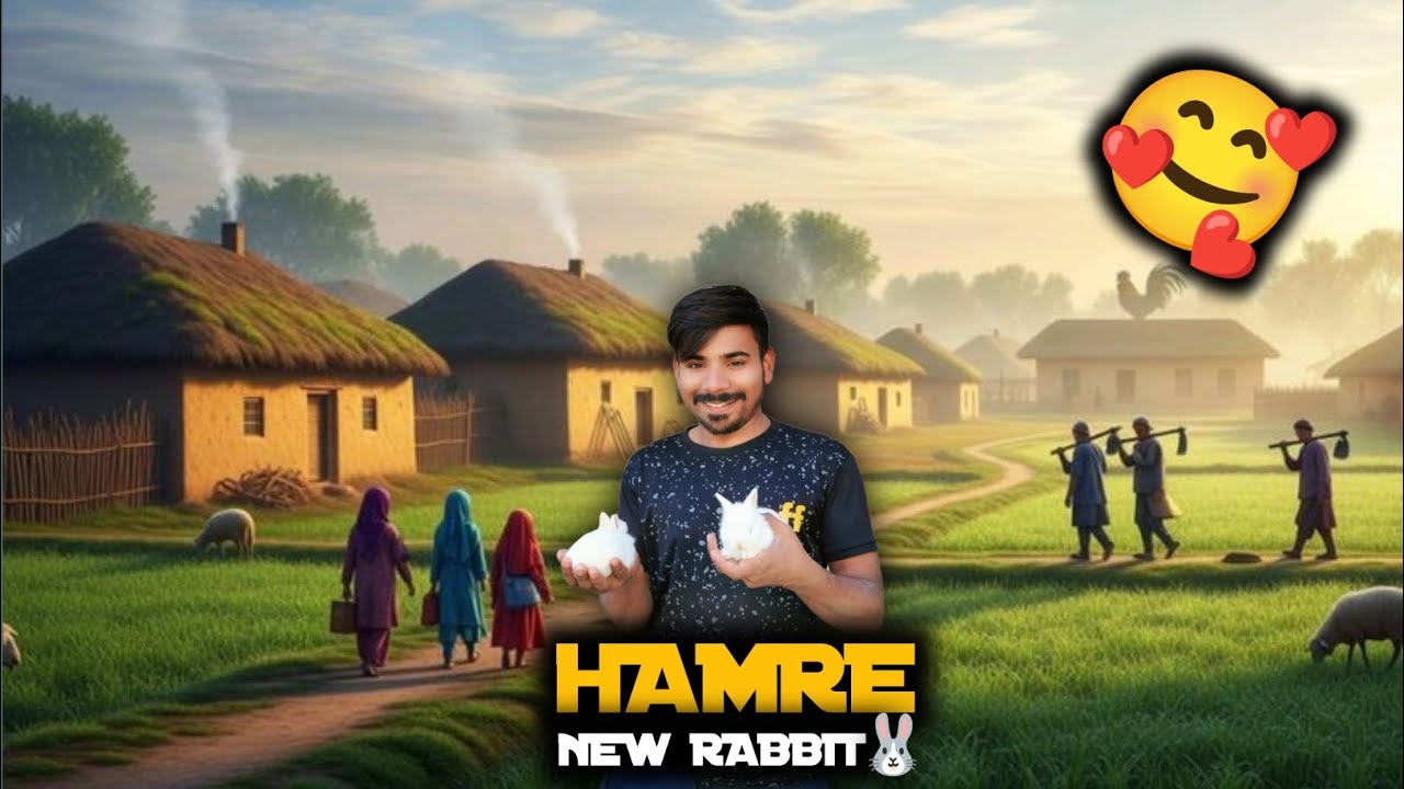 HAMRE NEW RABBIT 🐇🐰
