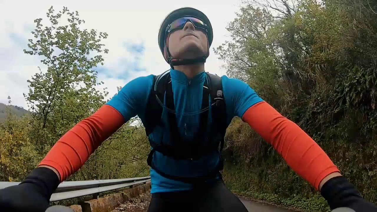 Inseguito dai cani in Bicicletta