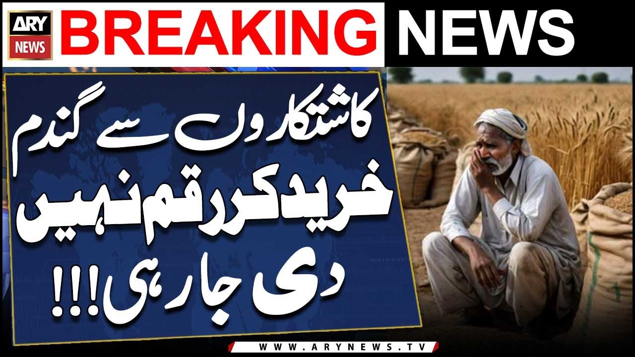 Wheat purchase case hearing in SHC Sukkur Bench - Breaking News