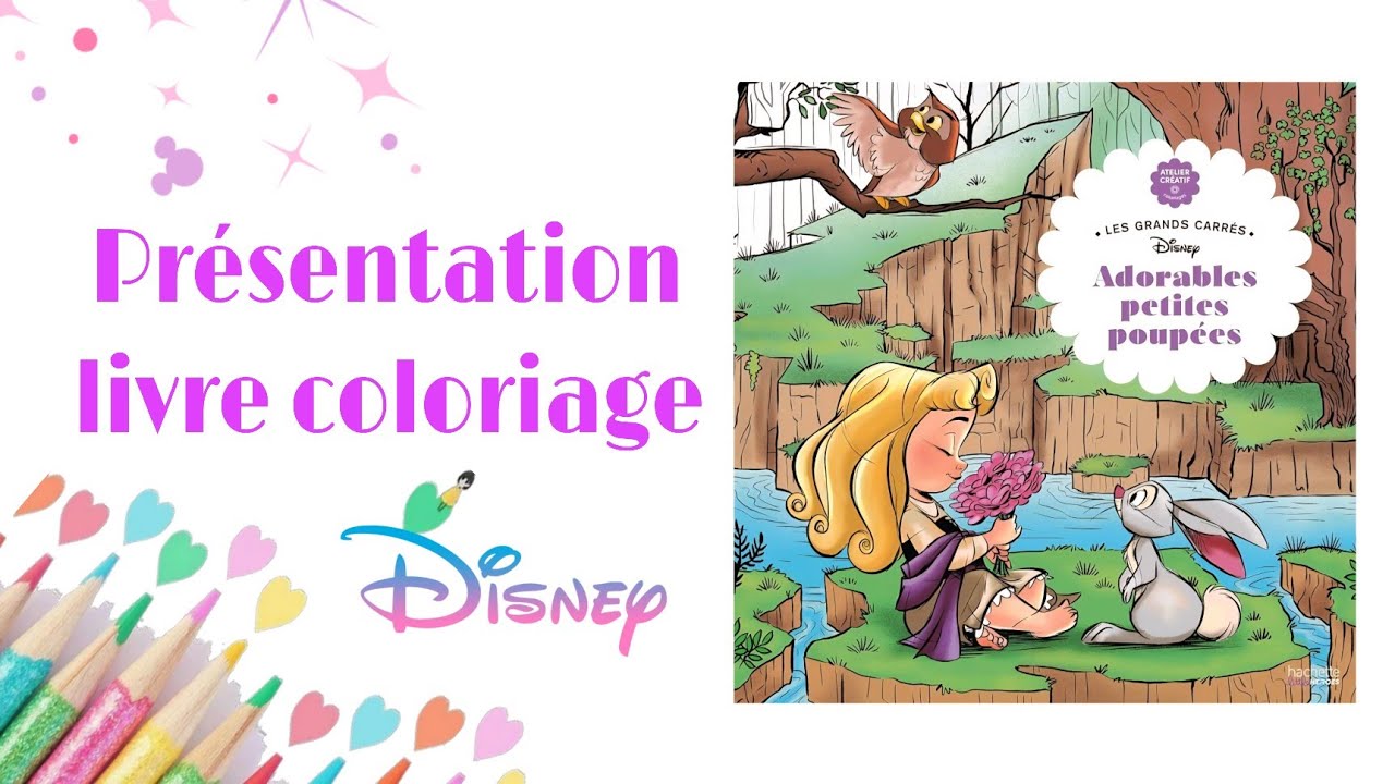 Présentation: Adorables petites poupées.  Disney Hachette 🎀🎨