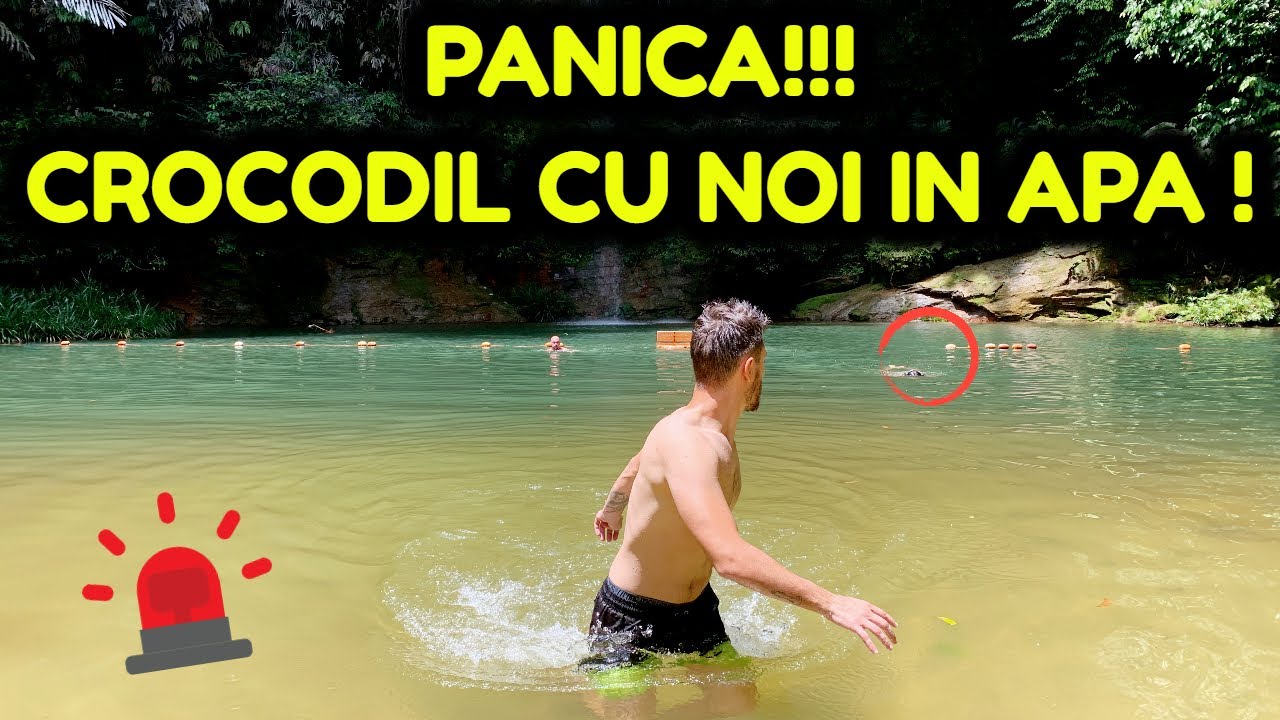AM INCHIRIAT MASINA CU 100RON in BORNEO!*prima data cu volan pe dreapta* EP.2 MIRI