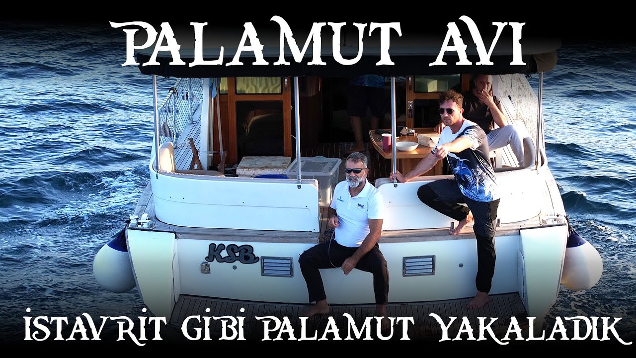 Boğaz' da İstavrit Gibi Palamut Yakaladık / Tekneden Palamut Avı