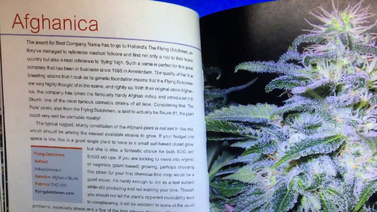 Afghanica