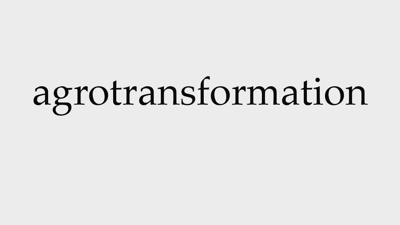 How to Pronounce agrotransformation