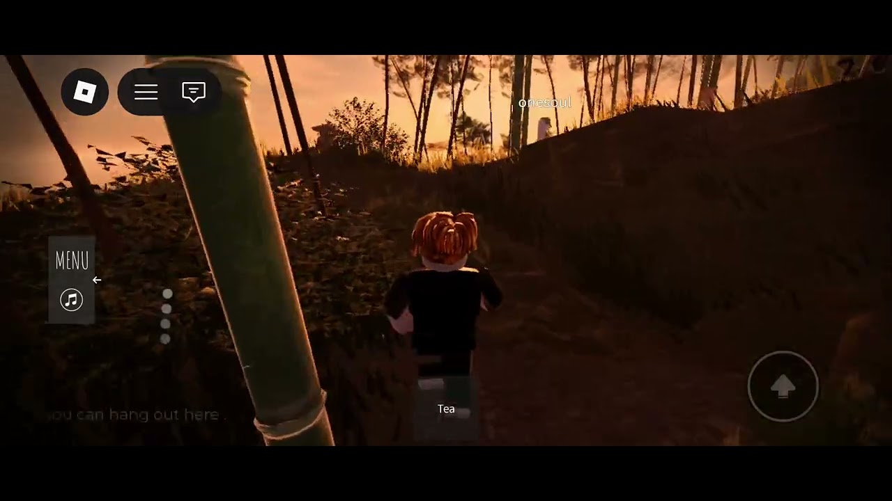 A Roblox game 