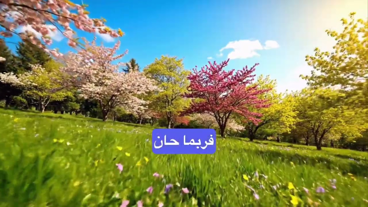 برنامج للتخفيف من آثار اضطراب مابعد الصدمة 